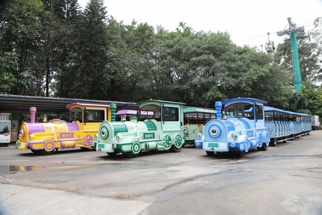 4万公里 ，，，，，，，100%出勤率！letou国际米兰官网旅行车助力长隆打造陶醉式生态之旅